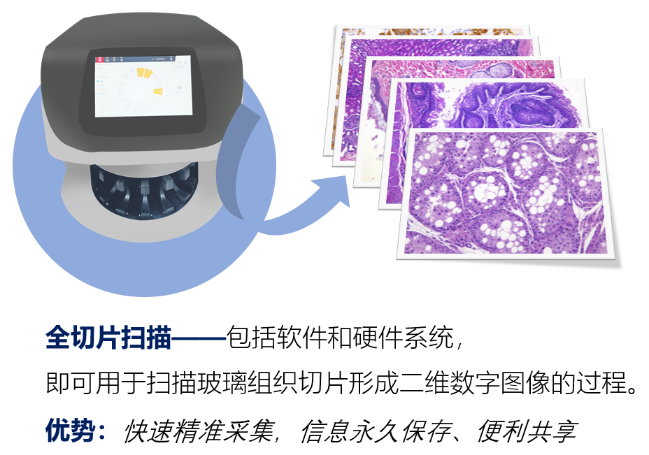 数字切片扫描系统.png